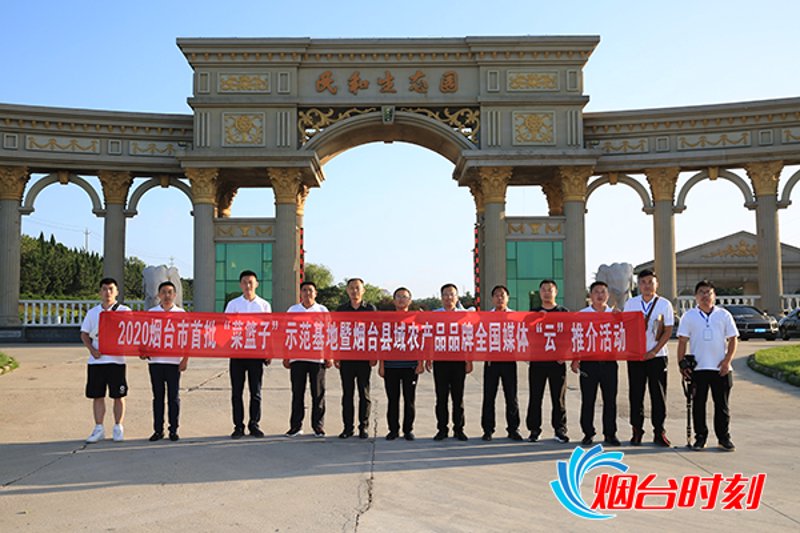 如何打造一个吸引人的官方网站?问题提出